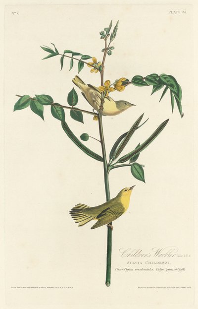 Lasten silkka, 1828. tekijältä Robert Havell