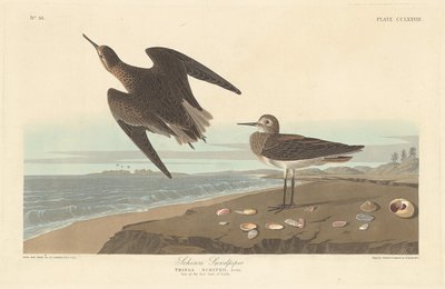Schinzin hiekkapiippu, 1835. tekijältä Robert Havell