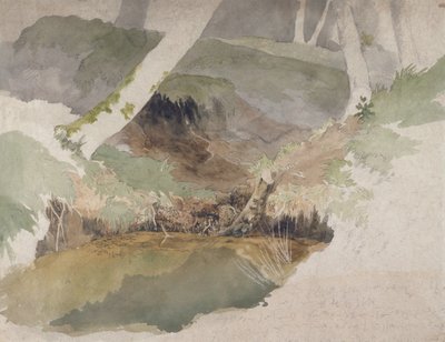 Forest Pool (wc grafiitin päällä paperilla) tekijältä Robert Hills