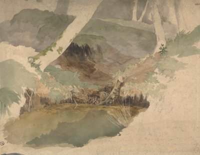 Metsän allas tekijältä Robert Hills