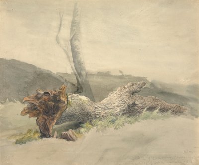 Kaatunut puu tekijältä Robert Hills