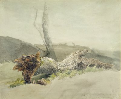 The Fallen Tree, n. 1804 (wc grafiitin päällä kudottupaperilla) tekijältä Robert Hills