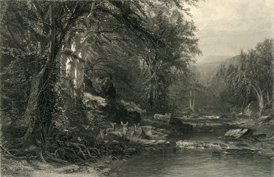 "The Adirondack Woods", 1874. tekijältä Robert Hinshelwood