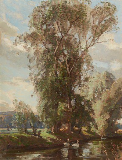 On the Knows Mill Lade, Prestonkirk (öljy kankaalle) tekijältä Robert Hope