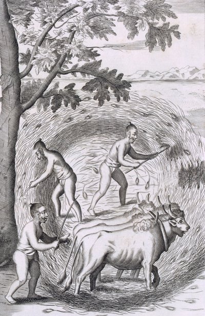 Tapa polttaa riisiä, pubista An Historical Relation of the Island Ceylon. 1681 kaiverrus tekijältä Robert Knox