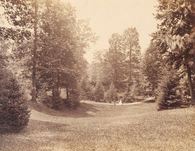 Clarence Howard Clark Estate, salkusta "Views at Chestnutwold" (Näkymiä Chestnutwoldissa). tekijältä Robert Newell