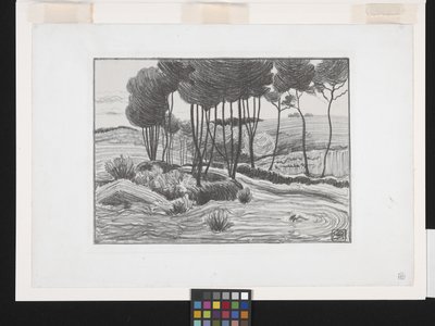 Poppelit (litografia) tekijältä Robert Polhill Bevan