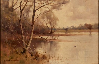 Hopeakoivu järven rannalla (öljy kankaalle) tekijältä Robert Russell MacNee