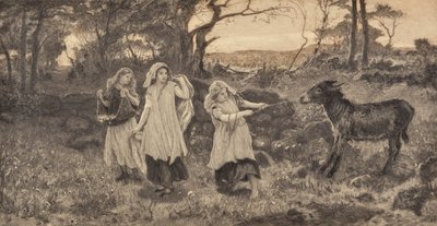 Kolme tyttöä ja aasi tekijältä Robert Walker Macbeth