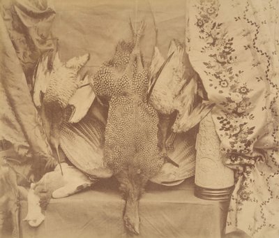 Asetelma ja kirjonta, 1856. tekijältä Robert Wilfred Skeffington Lutwidge