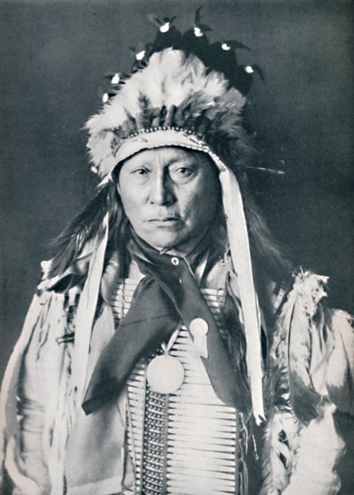 Sioux-päällikkö sotamaalauksessaan, 1912 tekijältä Robert Wilson Shufeldt