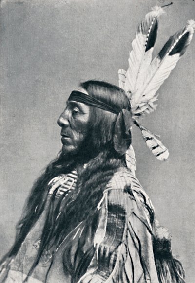 Siouxin profiilinäkymä, 1912 tekijältä Robert Wilson Shufeldt