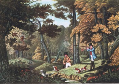 Fasaaniammuskelu Uxbridgen lähellä, Nature in Britain julkaisija Collins, 1946 tekijältä Robert the Elder Havell