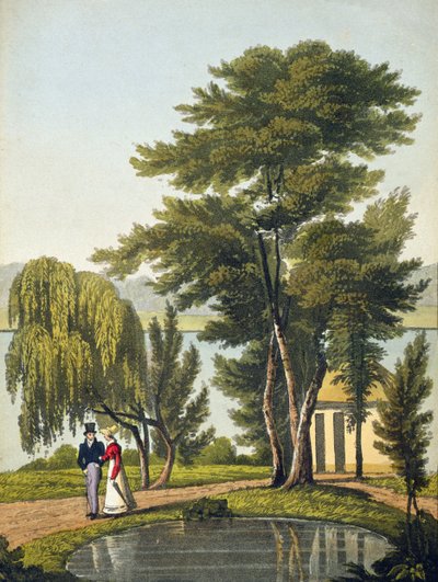 Clifton, teoksesta "The Naturama, or, Nature