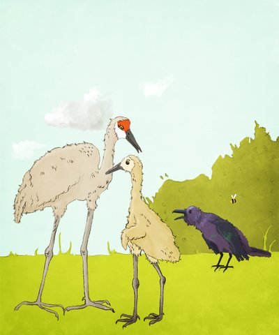 Gus Gus And The Corvid, 2020 (digitaalinen) tekijältä Roberta Murray