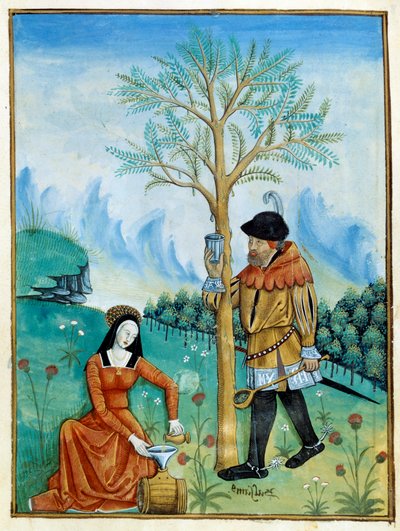 Balm Reccolation. Mies kokoaa lääkkeeksi käytetyn puusta (Flora: balsamier) virtaavan hartsin eli seven, kun taas nainen laittaa sen tynnyriin. Miniatyyri "" Yksinkertaisten lääkäreiden kirjassa"" (Folio 187v) v.1520-1530. Enlumine by Testard Tap tekijältä Robinet Testard
