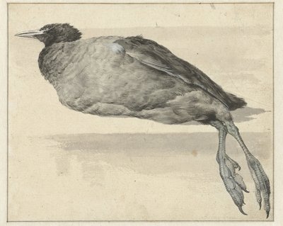 kuollut nokka tekijältä Rochus van Veen