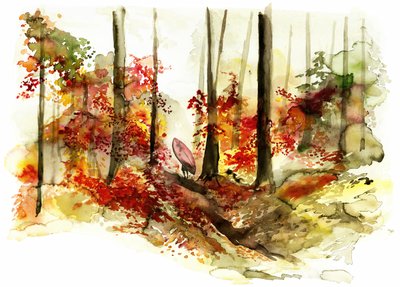 Syksyinen metsä- ja surffausmatka tekijältä RodMacIver
