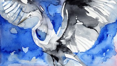 Lentävä sinisorsa tekijältä RodMacIver
