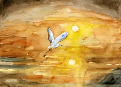 Egretin kultainen auringonlaskun lento tekijältä RodMacIver