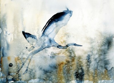  tekijältä RodMacIver