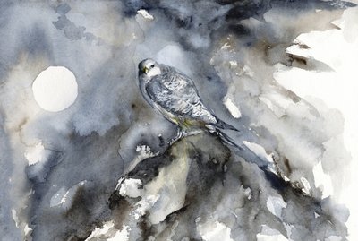 Kuunvalossa tapahtuva haukkahavainnointi tekijältä RodMacIver