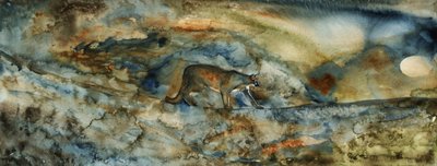 Mountain Lionin solan tekijältä RodMacIver