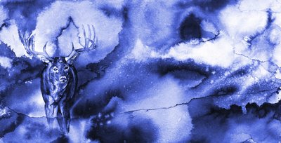 Mystinen sininen peura tekijältä RodMacIver