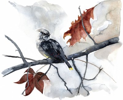  tekijältä RodMacIver