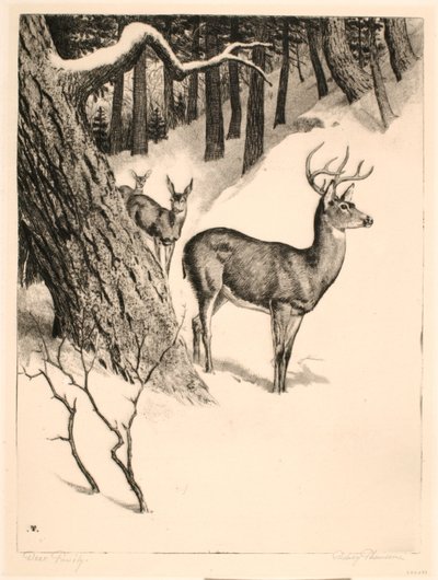 Peuraperhe tekijältä Rodney Thomson