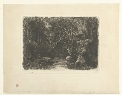Metsämaisema puroilla ja ulkonevilla puilla Le Ruisseau sous bois tekijältä Rodolphe Bresdin