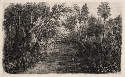 Virta tekijältä Rodolphe Bresdin