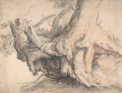 Tutkimus puusta, n. 1606-7. tekijältä Roelandt Savery