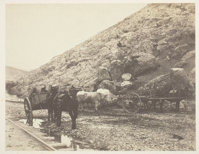 Nauta ja kärryt lähtevät Balaklavasta, 1855. tekijältä Roger Fenton