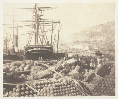 Tykistötukikohta, Balaklava tekijältä Roger Fenton