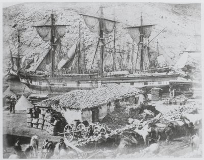 Nautalaituri Balaklavan satamassa tekijältä Roger Fenton