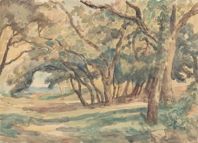 Metsäinen Glade lähellä St. Tropezia tekijältä Roger Fry