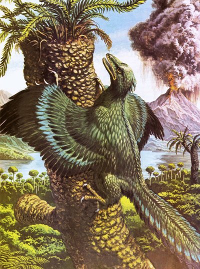 Archaeopteryx tekijältä Roger Payne