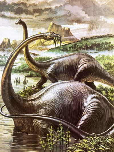 Diplodocus tekijältä Roger Payne