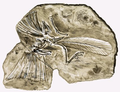 Dinosaurusten päivinä: Salaisuus kivessä tekijältä Roger Payne