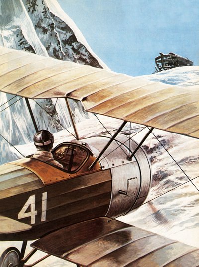 Arkin havaitseminen tekijältä Roger Payne