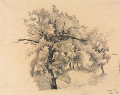 Puiden tutkimus tekijältä Roger de La Fresnaye