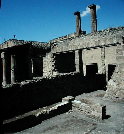 Villaan tekijältä Roman