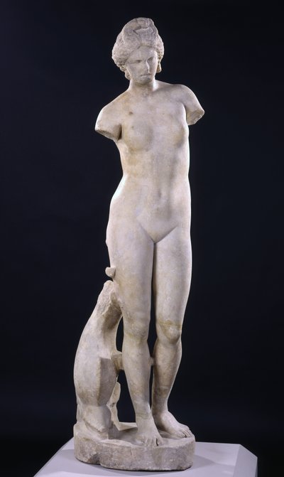 Afrodite Kyrenestä tekijältä Roman