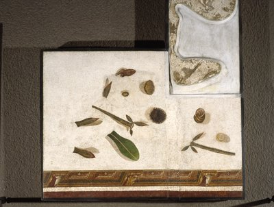 "Asarotos" (Lahjaamaton lattia) Haraklitonin signeeraama mosaiikkifragmentti Roomasta, 2. vuosisadalta jKr., Rooma tekijältä Roman