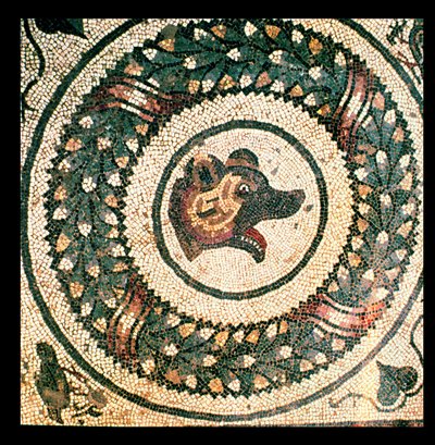 Karhun pää, roomalainen mosaiikki, 400-luvun alku (mosaiikki) tekijältä Roman