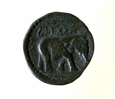 Karthago kolikko, joka edustaa norsua. 3. tai 2. vuosisadalla eaa. tekijältä Roman
