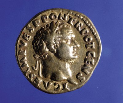 Kolikko, jossa on Rooman keisari Tituksen (40 - 81) kuva. Milanon medagliere-kokoelma. tekijältä Roman