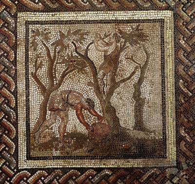 Rypäleiden sadonkorjuu, Saint-Romain-en-Gal (mosaiikki) tekijältä Roman