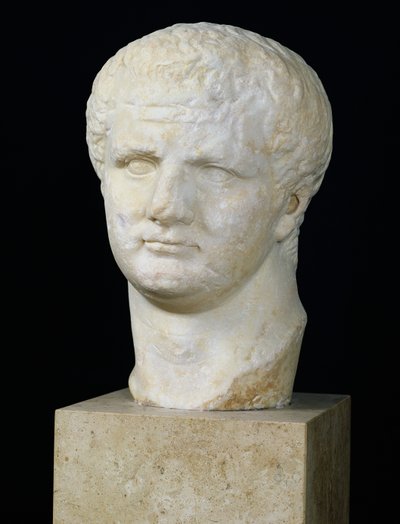 Tituksen pää (39-81) (marmori) tekijältä Roman